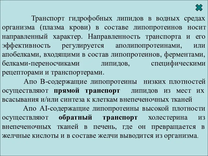 Транспорт липидов в составе липопротеинов носит направленный характер апо В апо