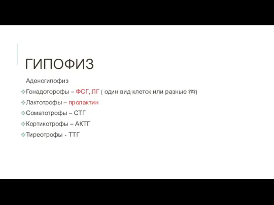 ГИПОФИЗ Аденогипофиз Гонадоторофы – ФСГ, ЛГ ( один вид клеток или