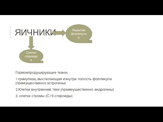 ЯИЧНИКИ Гормонпродуцирующие ткани: 1.гранулеза, выстилающая изнутри полость фолликула (премущественно эстрогены) 2.Клетки