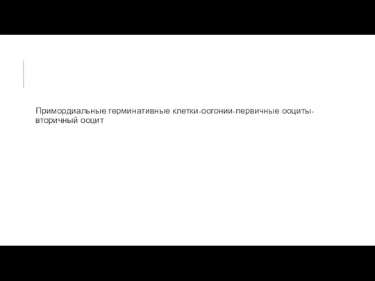 Примордиальные герминативные клетки-оогонии-первичные ооциты- вторичный ооцит