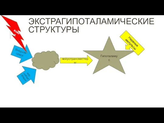 ЭКСТРАГИПОТАЛАМИЧЕСКИЕ СТРУКТУРЫ Внешняя среда интерорецепторы Гипоталамус нейротрансмиттеры Нервные импульсы война