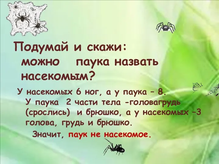 Подумай и скажи: можно паука назвать насекомым? У насекомых 6 ног,