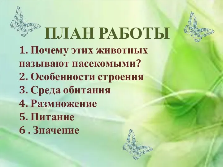 ПЛАН РАБОТЫ 1. Почему этих животных называют насекомыми? 2. Особенности строения