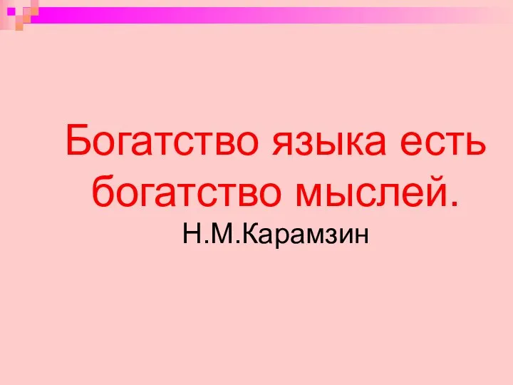 Богатство языка есть богатство мыслей. Н.М.Карамзин