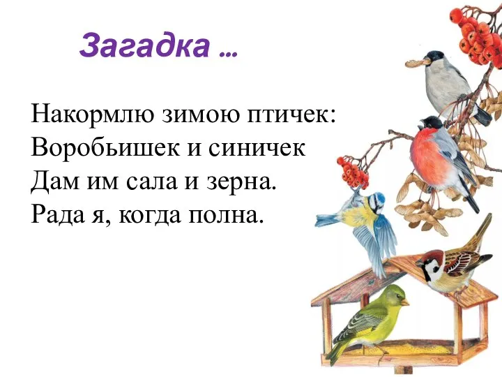 Накормлю зимою птичек: Воробьишек и синичек Дам им сала и зерна.