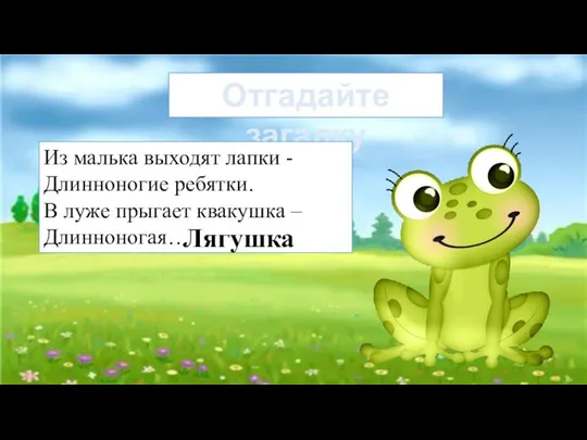 Отгадайте загадку Из малька выходят лапки - Длинноногие ребятки. В луже прыгает квакушка – Длинноногая… Лягушка