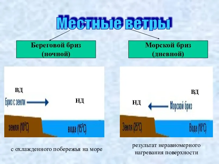 Местные ветры Береговой бриз (ночной) Морской бриз (дневной) с охлажденного побережья