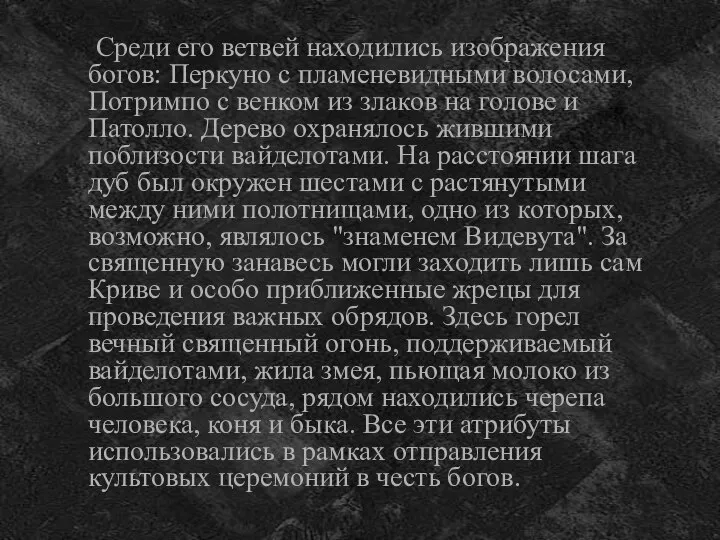 Среди его ветвей находились изображения богов: Перкуно с пламеневидными волосами, Потримпо