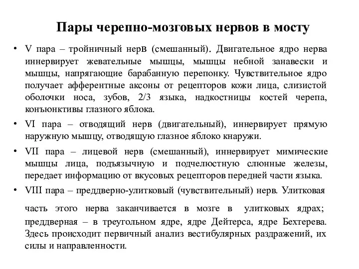 Пары черепно-мозговых нервов в мосту V пара – тройничный нерв (смешанный).