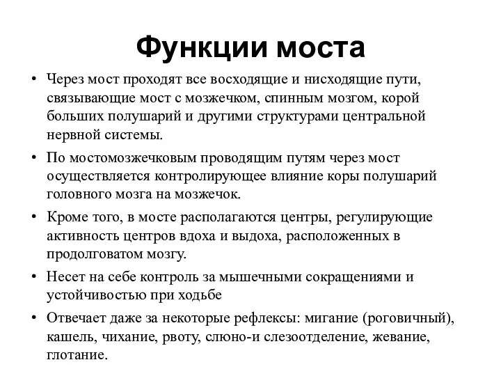 Функции моста Через мост проходят все восходящие и нисходящие пути, связывающие