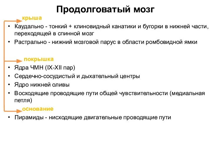 Продолговатый мозг крыша Каудально - тонкий + клиновидный канатики и бугорки