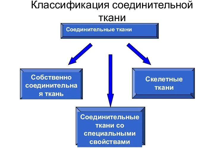 Классификация соединительной ткани