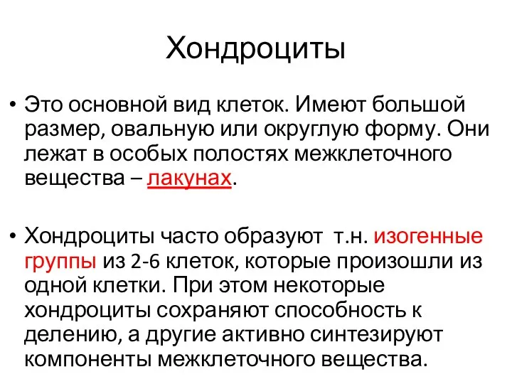 Хондроциты Это основной вид клеток. Имеют большой размер, овальную или округлую