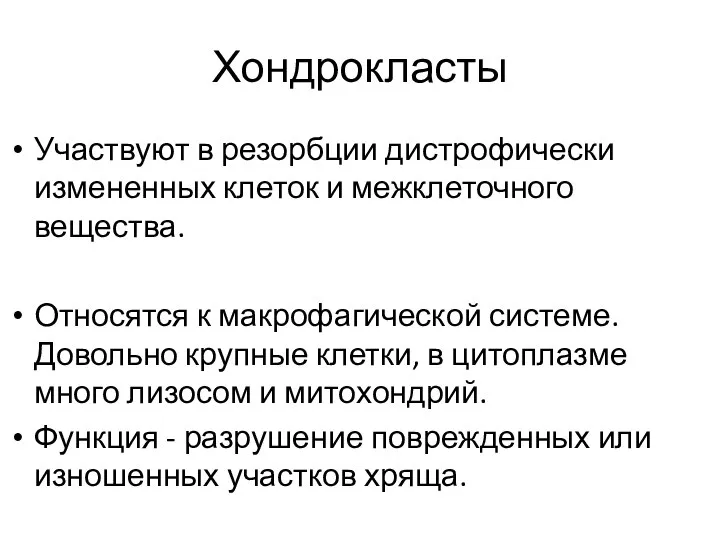 Хондрокласты Участвуют в резорбции дистрофически измененных клеток и межклеточного вещества. Относятся