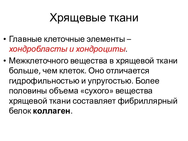 Хрящевые ткани Главные клеточные элементы – хондробласты и хондроциты. Межклеточного вещества