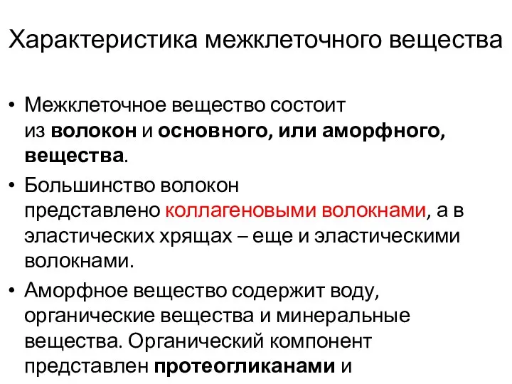 Характеристика межклеточного вещества Межклеточное вещество состоит из волокон и основного, или