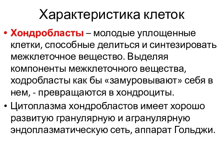 Характеристика клеток Хондробласты – молодые уплощенные клетки, способные делиться и синтезировать