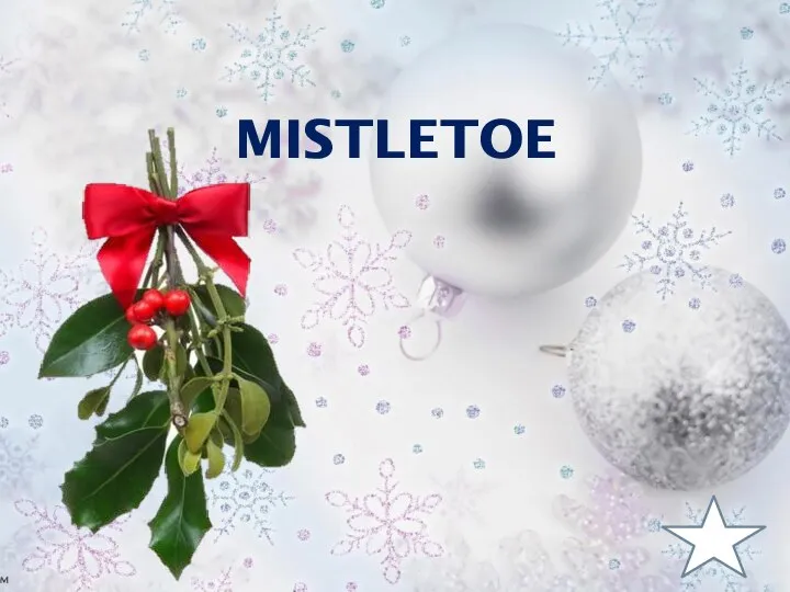 MISTLETOE c