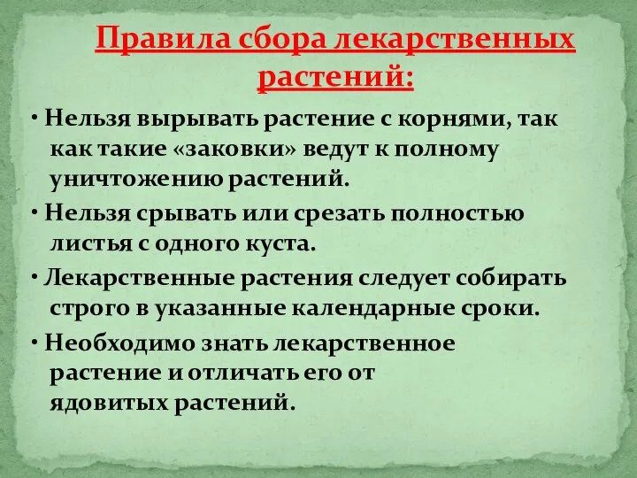 • Нельзя вырывать растение с корнями, так как такие «заковки» ведут