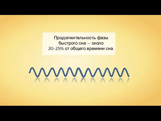 Продолжительность фазы быстрого сна — около 20-25% от общего времени сна.