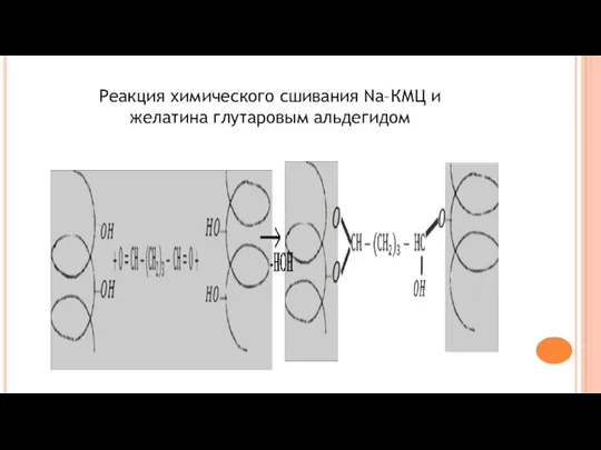 Реакция химического сшивания Nа–КМЦ и желатина глутаровым альдегидом
