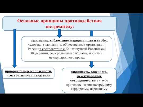 Основные принципы противодействия экстремизму: признание, соблюдение и защита прав и свобод