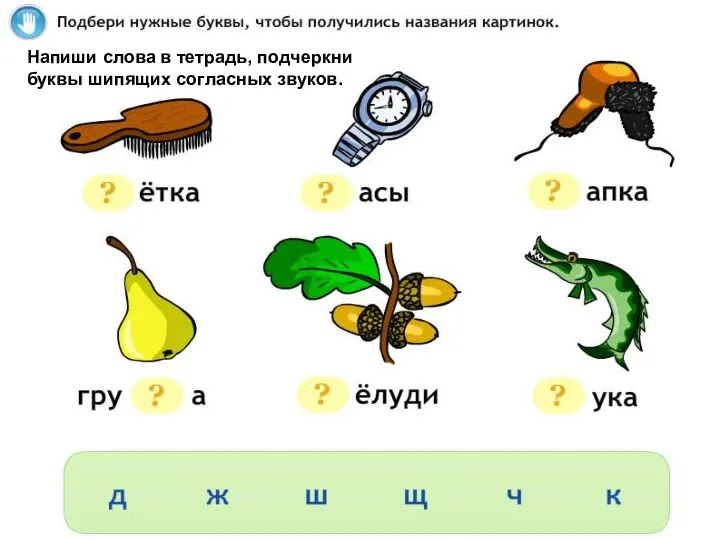 Напиши слова в тетрадь, подчеркни буквы шипящих согласных звуков.