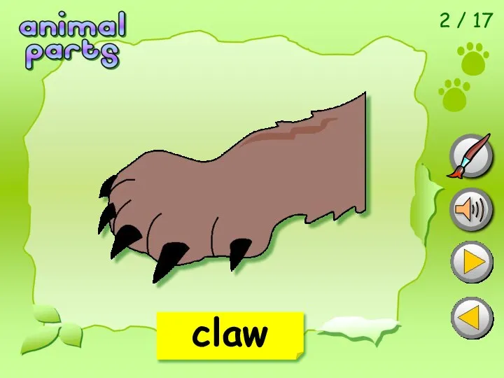 2 / 17 claw