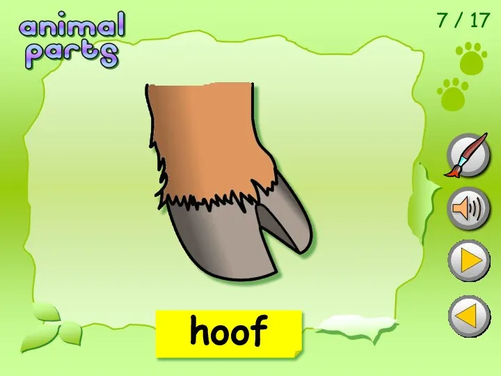 7 / 17 hoof