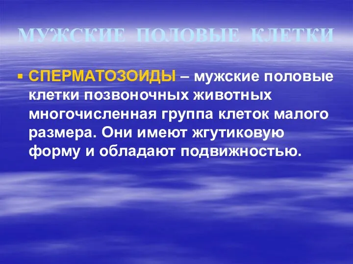 МУЖСКИЕ ПОЛОВЫЕ КЛЕТКИ СПЕРМАТОЗОИДЫ – мужские половые клетки позвоночных животных многочисленная