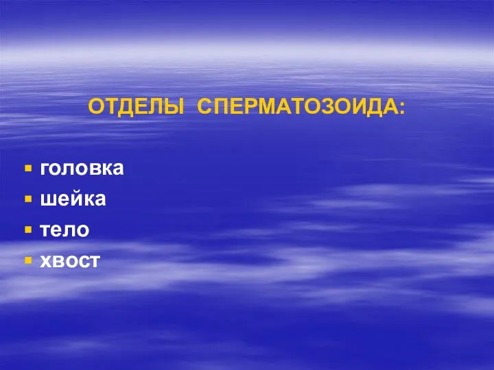 ОТДЕЛЫ СПЕРМАТОЗОИДА: головка шейка тело хвост