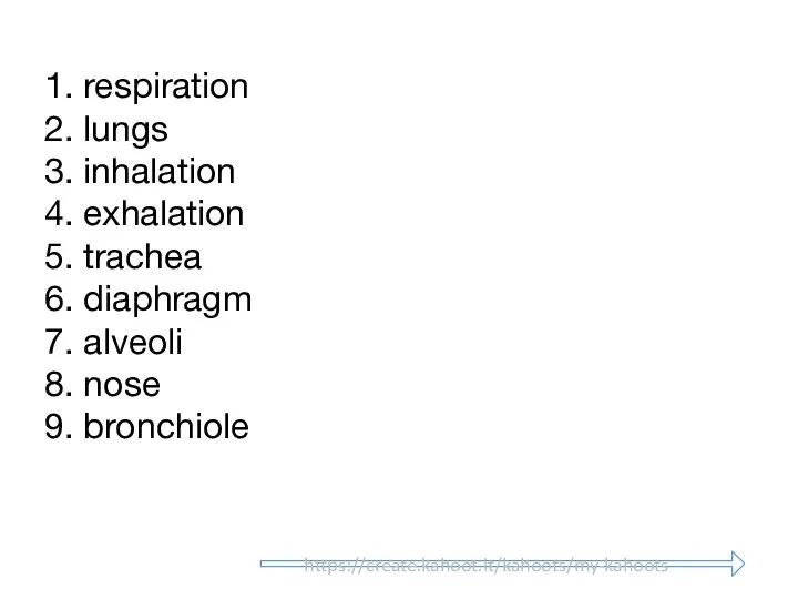 1. respiration 2. lungs 3. inhalation 4. exhalation 5. trachea 6.