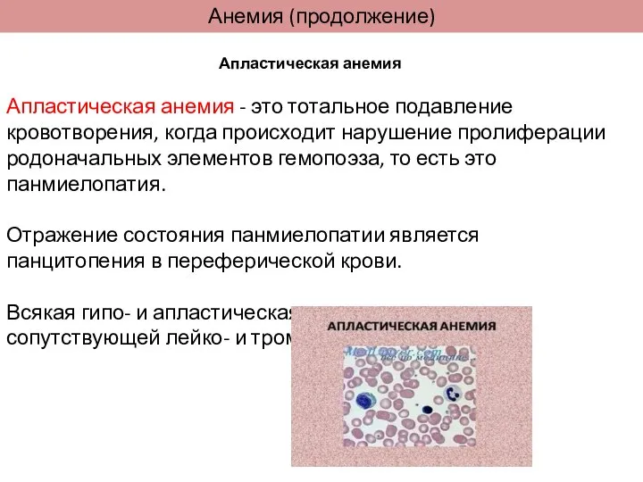 Анемия (продолжение) Апластическая анемия Апластическая анемия - это тотальное подавление кровотворения,