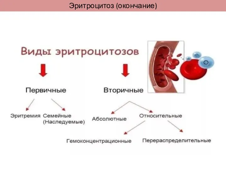 Эритроцитоз (окончание)