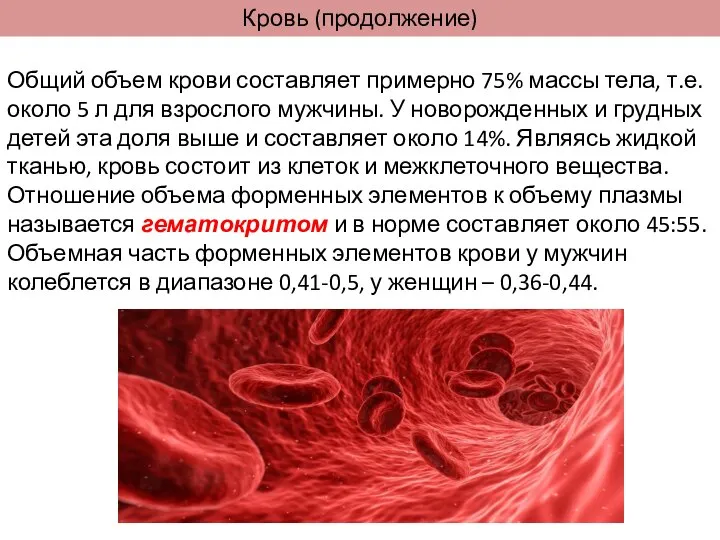 Кровь (продолжение) Общий объем крови составляет примерно 75% массы тела, т.е.