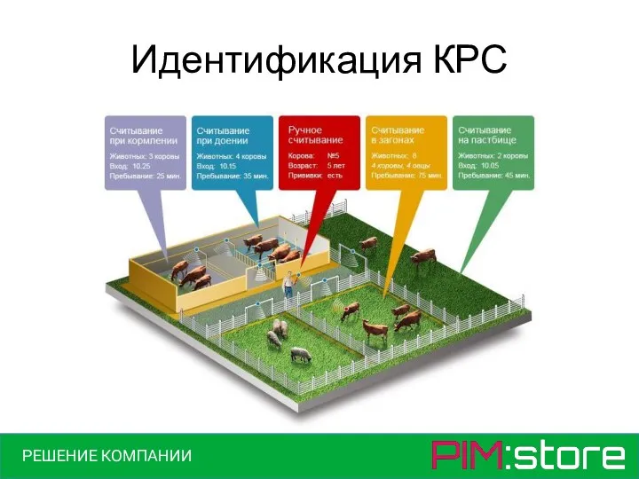 Идентификация КРС РЕШЕНИЕ КОМПАНИИ