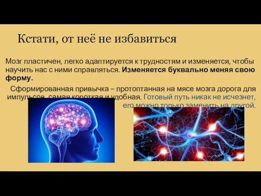 Кстати, от неё не избавиться Мозг пластичен, легко адаптируется к трудностям