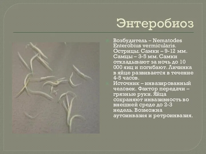 Энтеробиоз Возбудитель – Nematodes Enterobius vermicularis. Острицы. Самки – 9-12 мм.