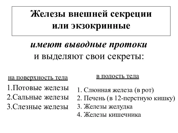 Железы внешней секреции или экзокринные имеют выводные протоки и выделяют свои