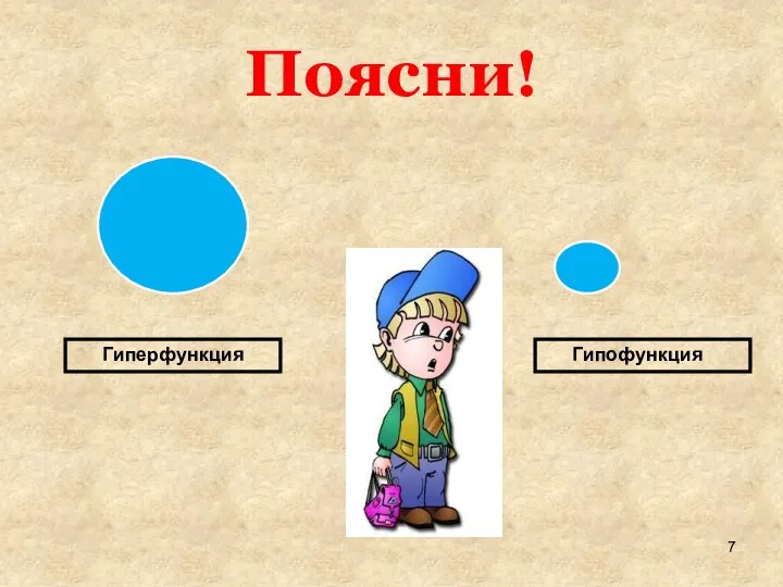 Поясни! Гиперфункция Гипофункция