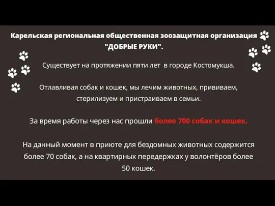 Существует на протяжении пяти лет в городе Костомукша. Отлавливая собак и