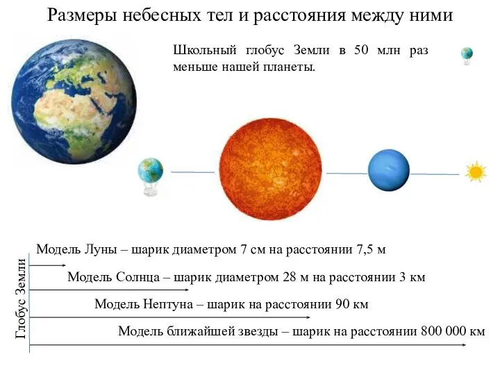 Размеры небесных тел и расстояния между ними Школьный глобус Земли в