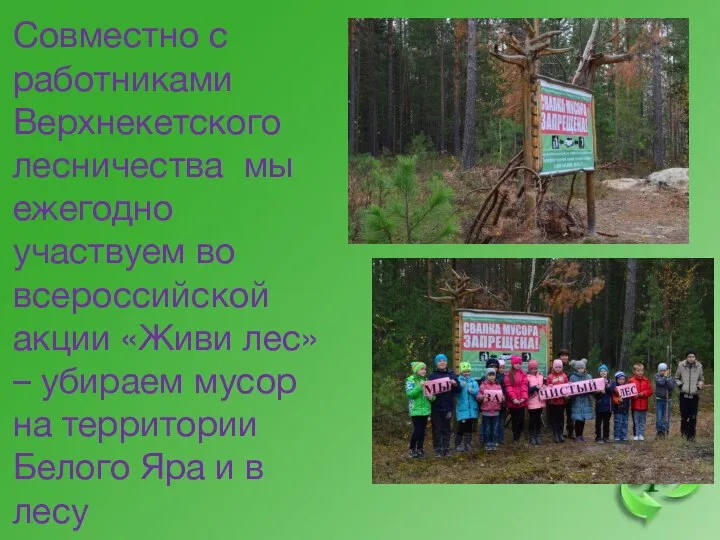 Совместно с работниками Верхнекетского лесничества мы ежегодно участвуем во всероссийской акции