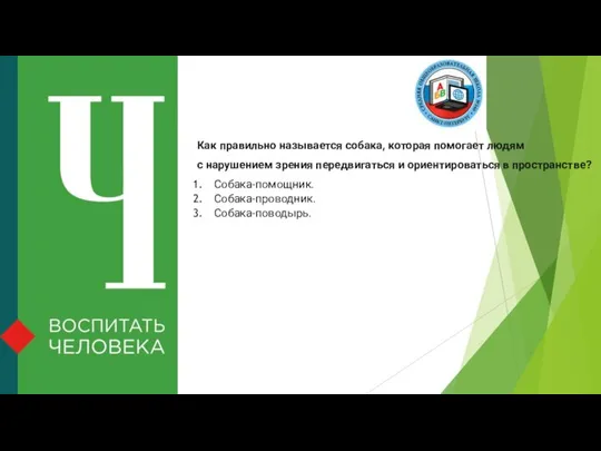 Как правильно называется собака, которая помогает людям с нарушением зрения передвигаться