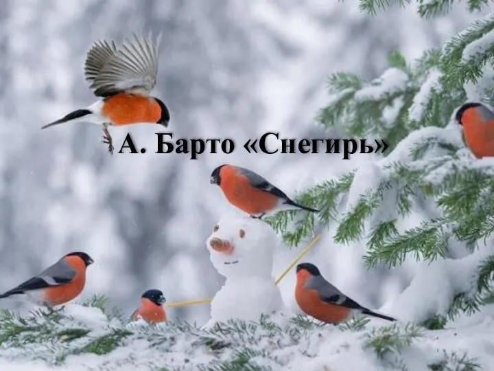 А. Барто «Снегирь»