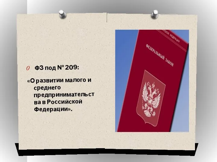 ФЗ под № 209: «О развитии малого и среднего предпринимательства в Российской Федерации».