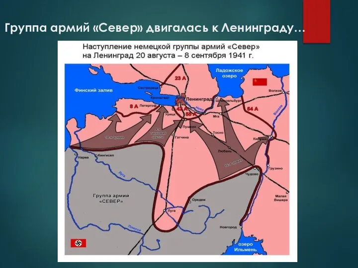 Группа армий «Север» двигалась к Ленинграду…