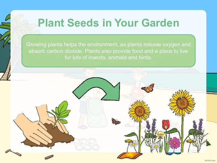 Plant Seeds in Your Garden Growing plants helps the environment, as