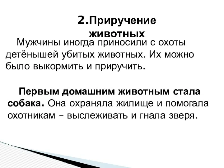 2.Приручение животных Мужчины иногда приносили с охоты детёнышей убитых животных. Их