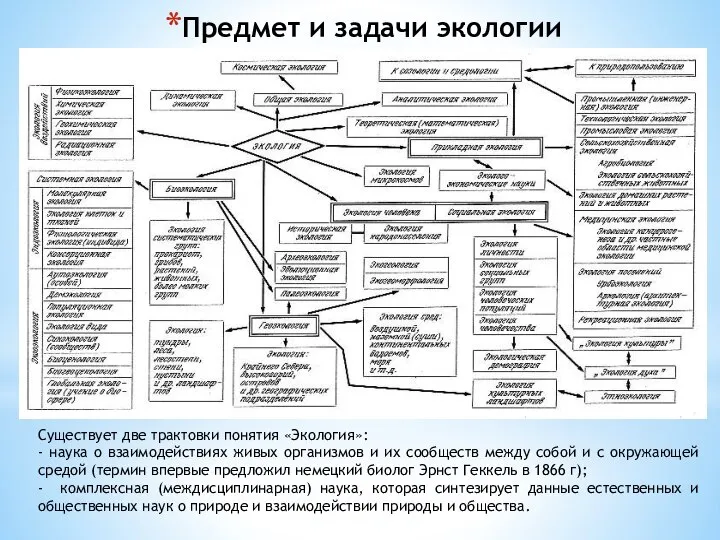 Предмет и задачи экологии Существует две трактовки понятия «Экология»: - наука